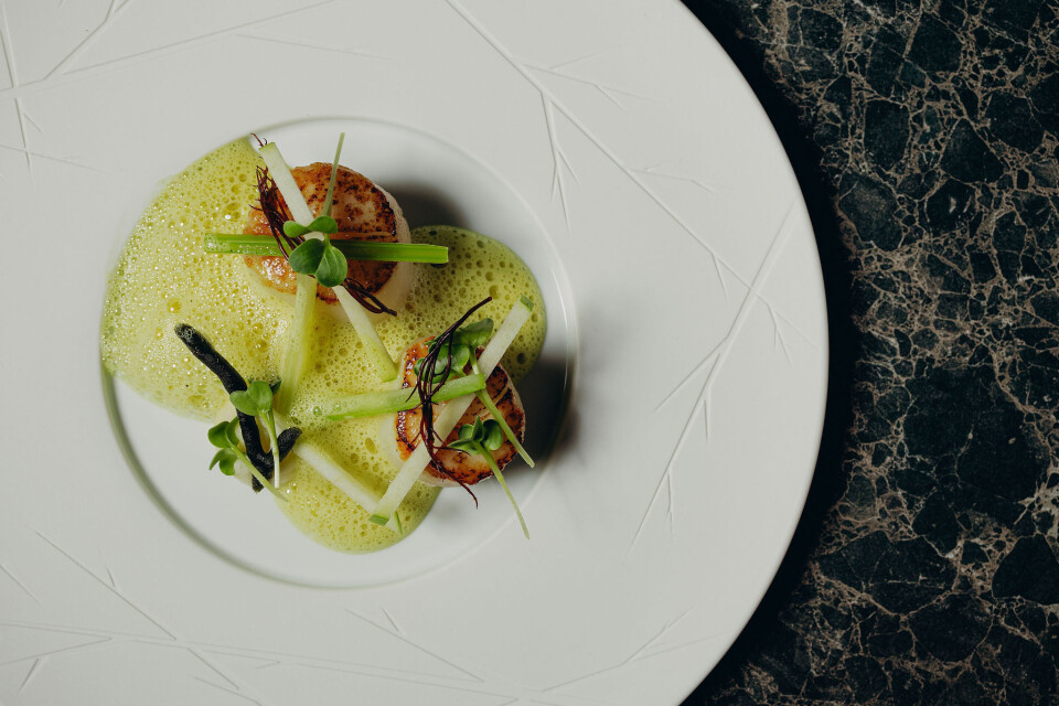Gerecht met coquiles van Vecera